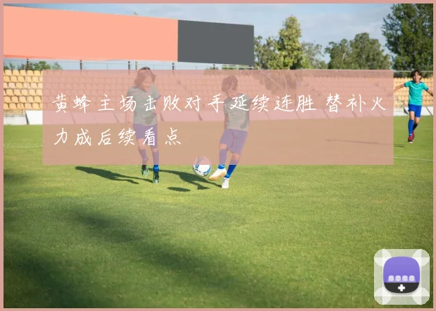 黄蜂主场击败对手延续连胜 替补火力成后续看点