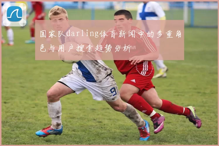 国家队darling体育新闻中的多重角色与用户搜索趋势分析