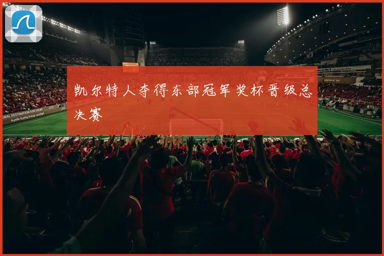 凯尔特人夺得东部冠军奖杯晋级总决赛