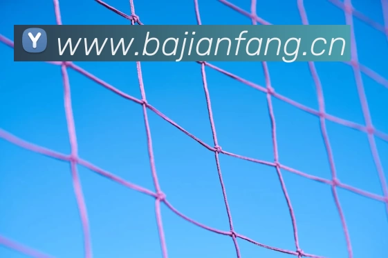 首个亚洲举办冬奥会的国家成为里程碑 推动区域冬季体育发展普及